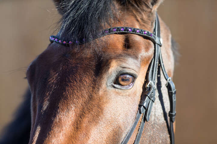 KANTRIE Stirnband Sparkle